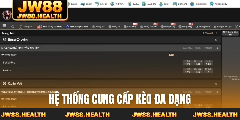 Hệ thống cung cấp kèo đa dạng